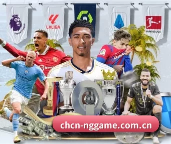 NG体育在线直播入口 APP 界面
